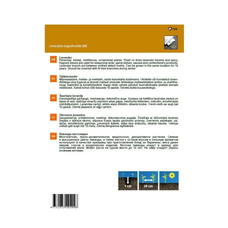 Sēklas Garden Center lavandas, 0.4 g