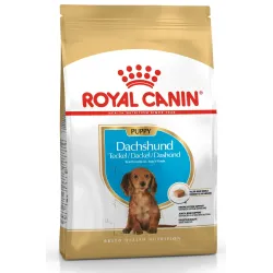 Sausā suņu barība Royal Canin Dachshund, vistas gaļa, 1.5 kg
