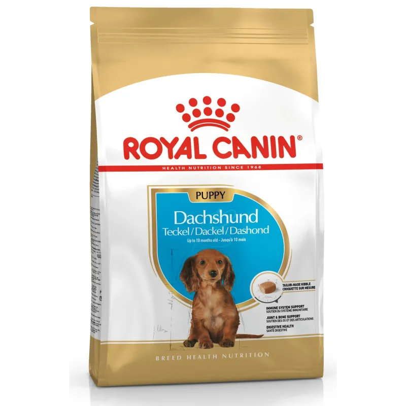 Sausā suņu barība Royal Canin Dachshund, vistas gaļa, 1.5 kg