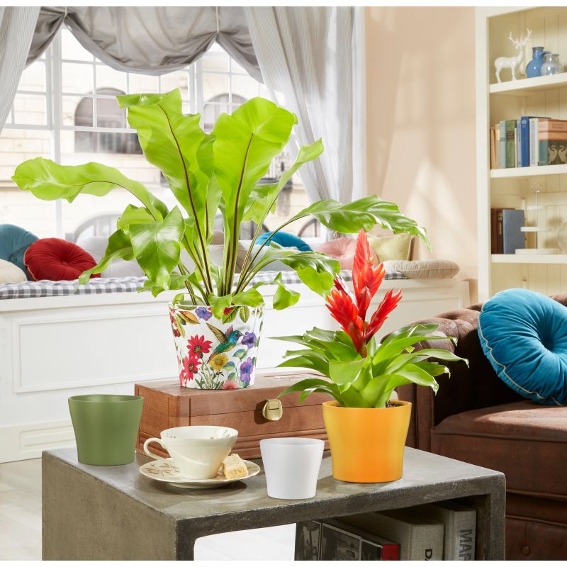 Puķu pods Scheurich Oliva 62275, keramika, zaļa