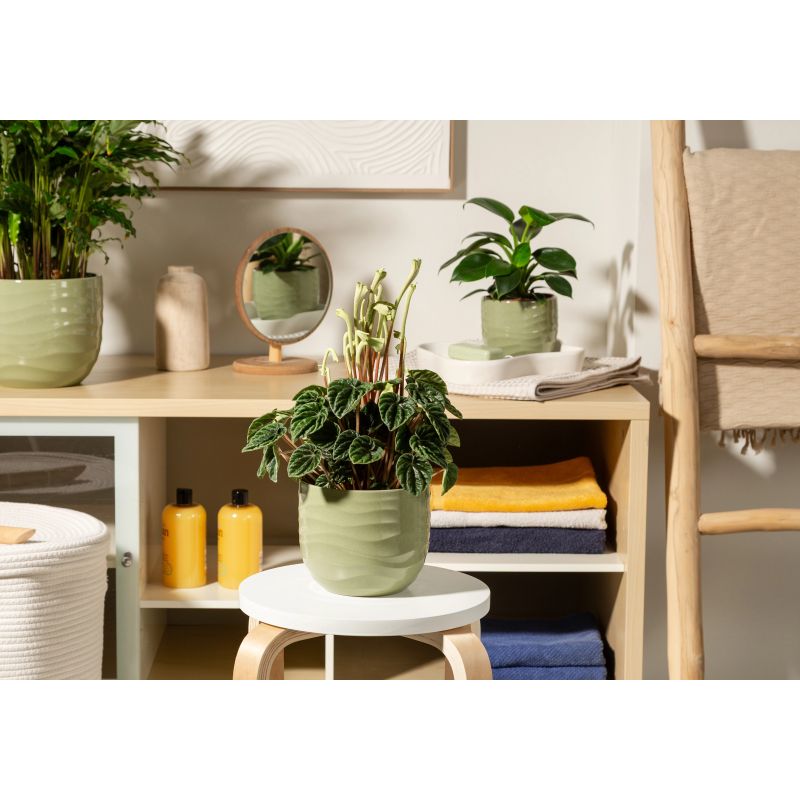 Puķpods keramikas 969-24 rush grass d24