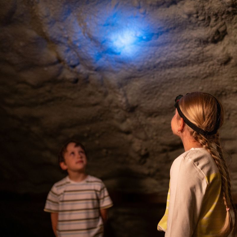 KLEIN galvas lukturis BOSCH