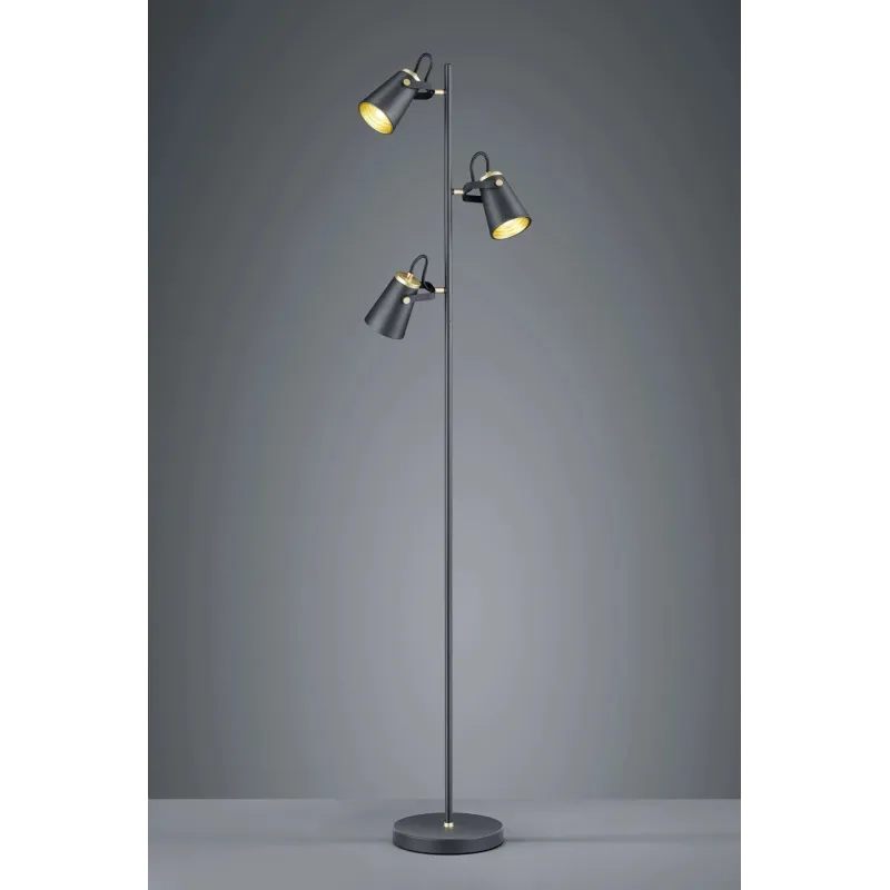 Stāvlampa Trio Edward 408800332, 40 W, E14