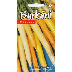 Sēklas burkāni rainbow h