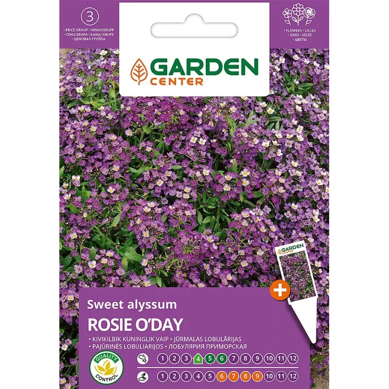 Sēklas Garden Center jūrmalas sudrabzālīte Rosie O'Day, 0.5 g