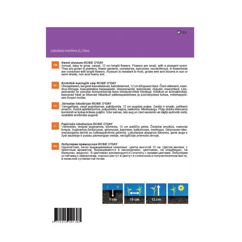 Sēklas jūrmalas lobulārijas rosie o day