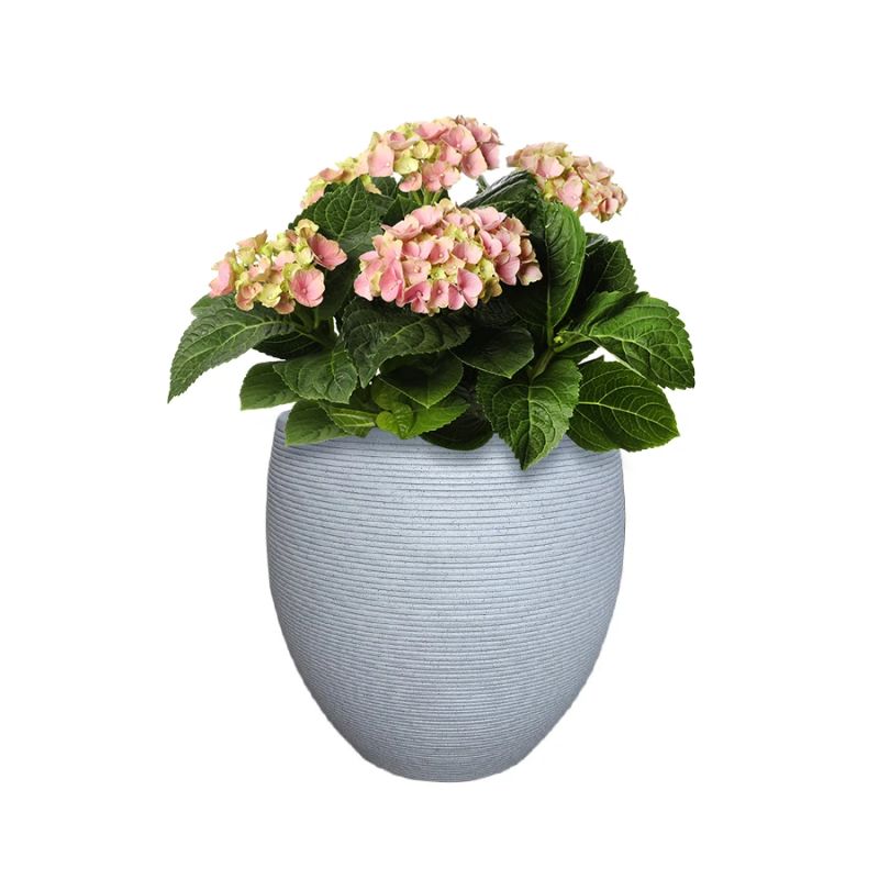 Puķu pods rp17-695 d54 h49 domoletti