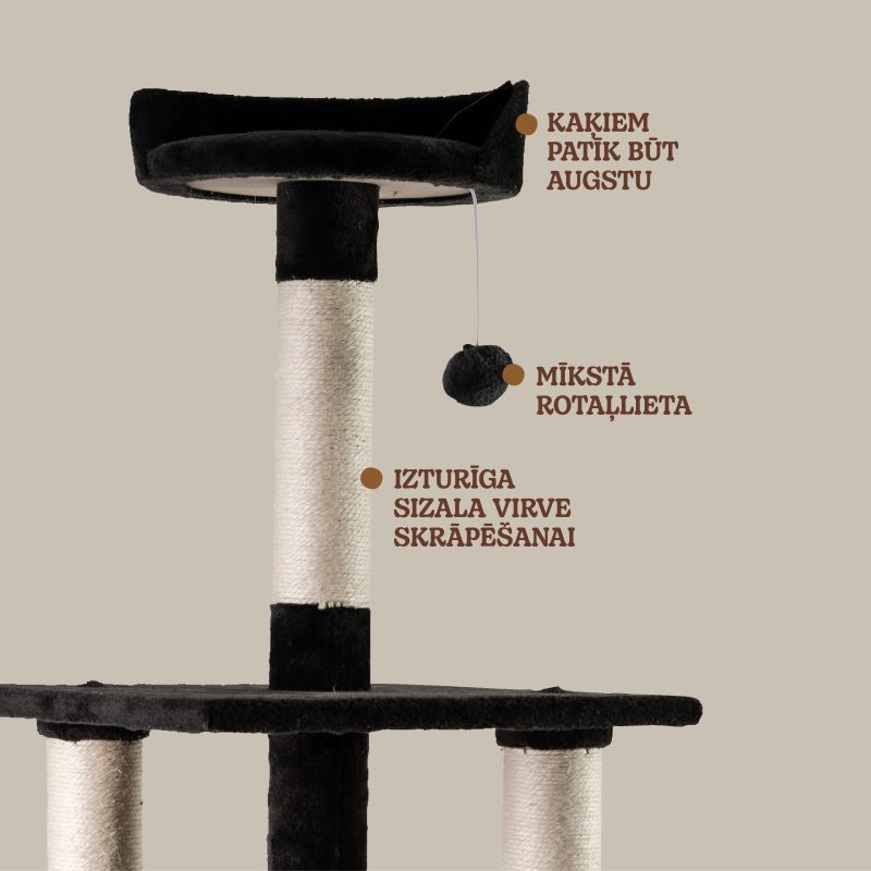 Kaķu nagu asināmais höppy 45x45x142cm