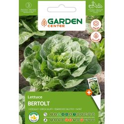 Sēklas dārzeņu salāti bertolt 1g