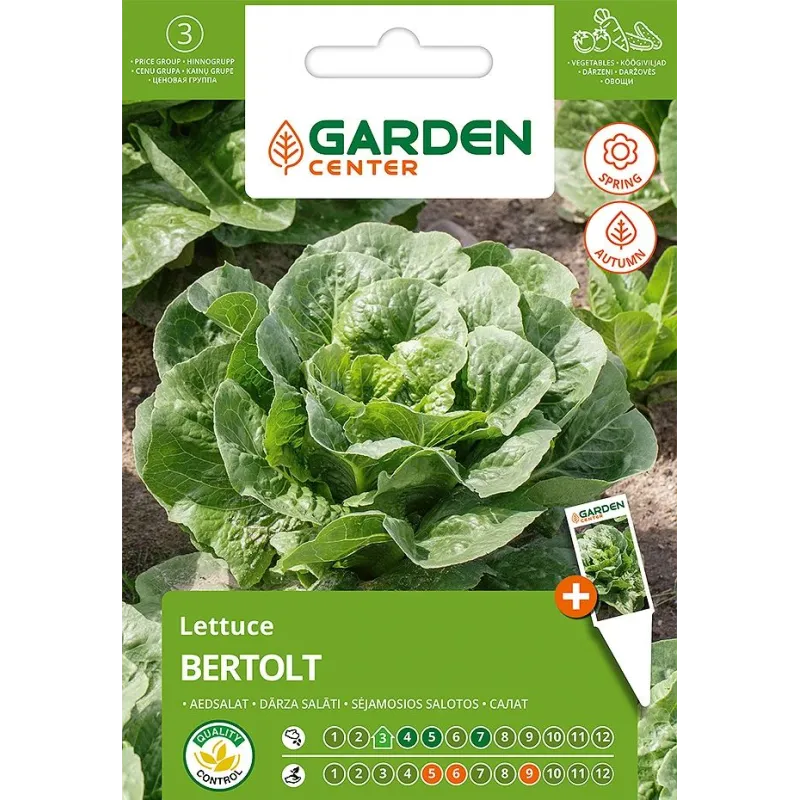 Sēklas Garden Center, salāti BERTOLT, 1 g