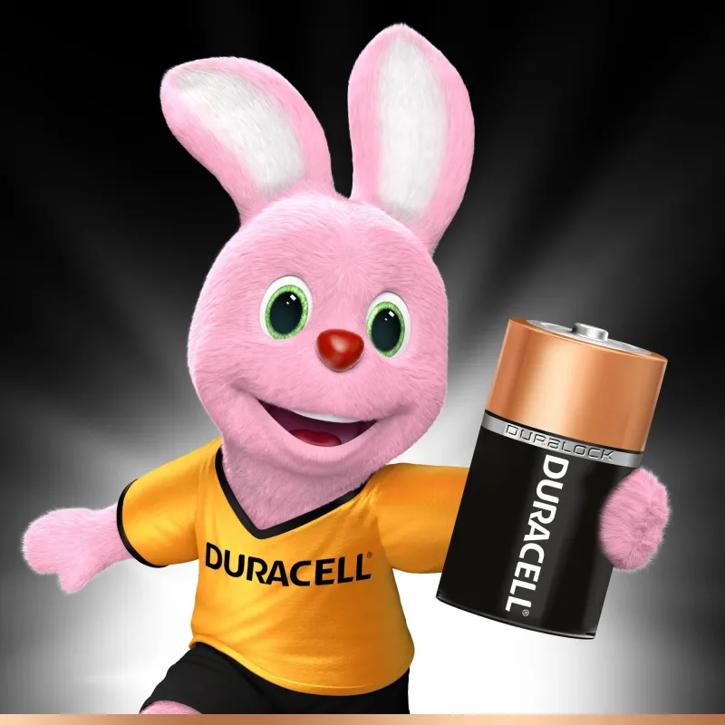 Baterijas Duracell MN 1400 Basic C, LR14