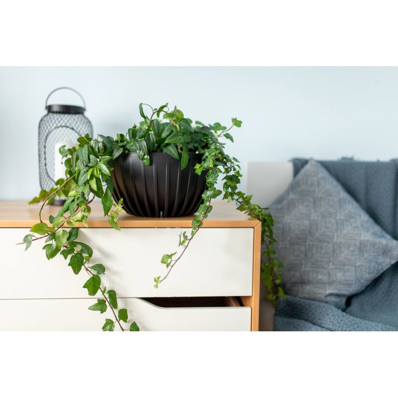 Puķupods pl. bowl mira 917-04 240