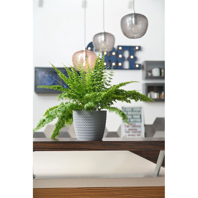 Puķu pods Lamela Magnolia 735-27, plastmasa, pelēka krās.