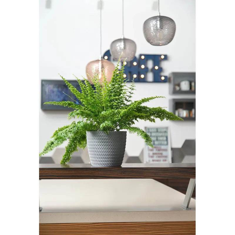 Puķu pods Lamela Magnolia 735-27, plastmasa, pelēka krās.