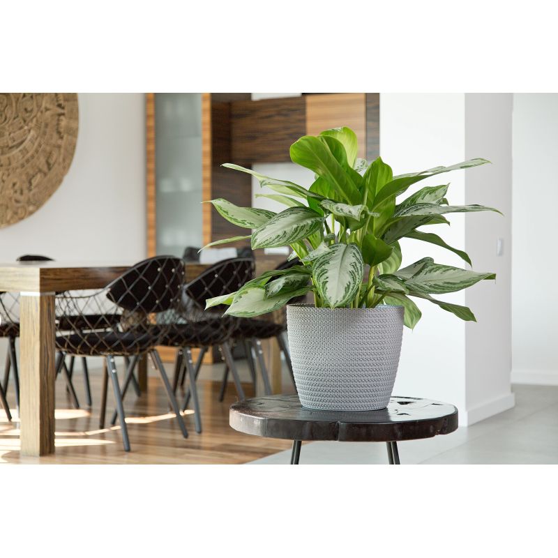 Puķu pods Lamela Magnolia 735-27, plastmasa, pelēka krās.