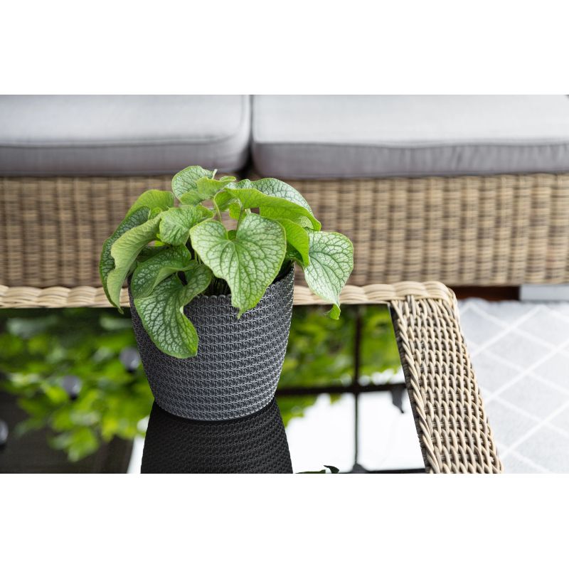 Puķu pods Lamela Magnolia 735-27, plastmasa, pelēka krās.