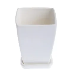 Gėlių vazonas Papartis, keramika, 12 cm x 12 cm, balta sp.