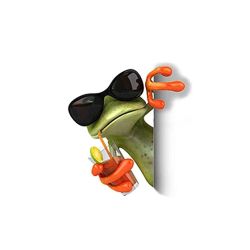 Auto uzlīme varde ar glāzi 11.5x10.5cm