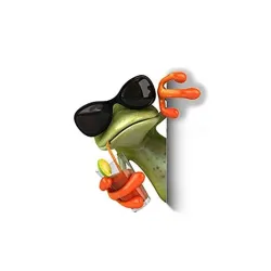 Наклейка на машину, 11.5 см x 10 см