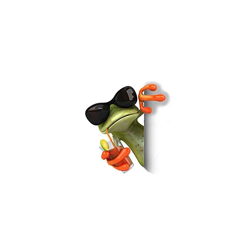 Auto uzlīme varde ar glāzi 11.5x10.5cm