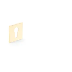 Durų apyraktė Metal-Bud QUANTA K FIT, aukso sp.