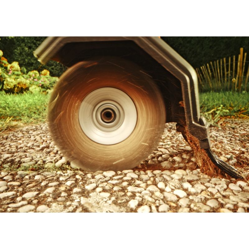 Birste nezāļu akum. 20v 0660ca