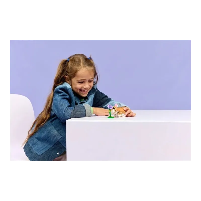 Konstruktorius LEGO Creator 3in1 Žiurkėnas 31376. 166vnt