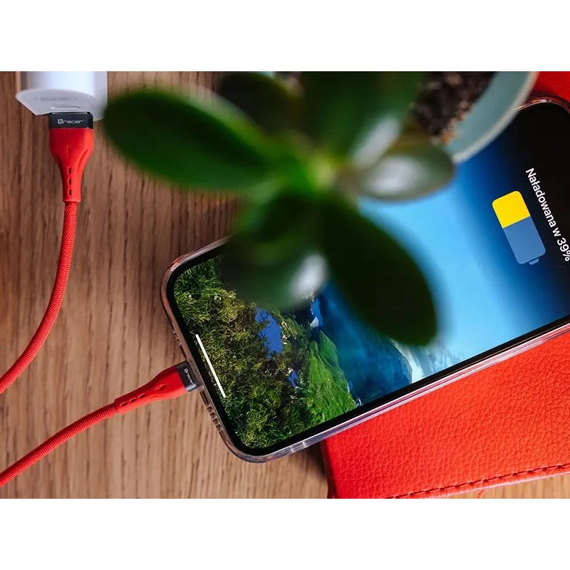 Tracer 47492 USB A - Lightning M-M 1m Cable Red