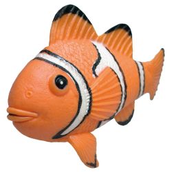 Stiepjamā rotaļlieta, Klauna zivs