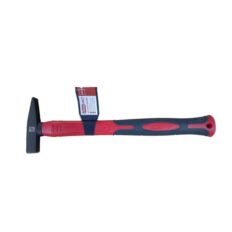 Āmurs atslēdznieka haushalt 100g