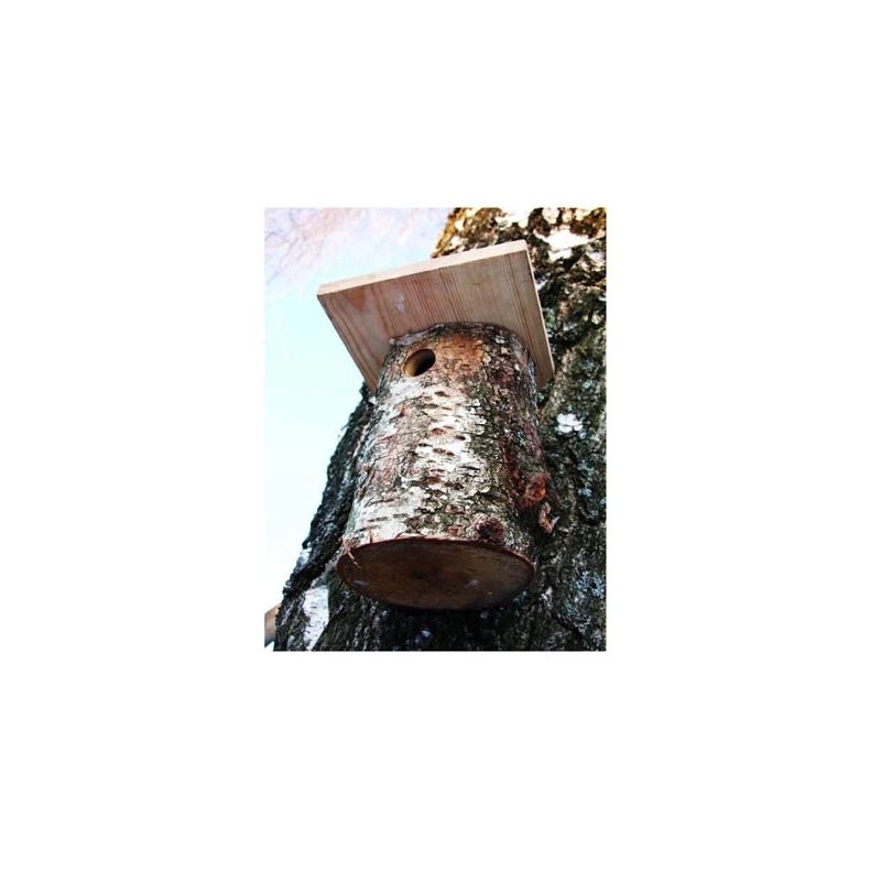 Putnu būris zīlītēm