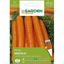 Sēklas burkāni knota