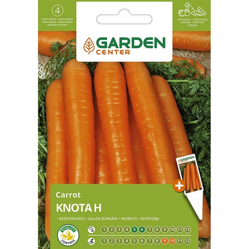 Sēklas burkāni knota