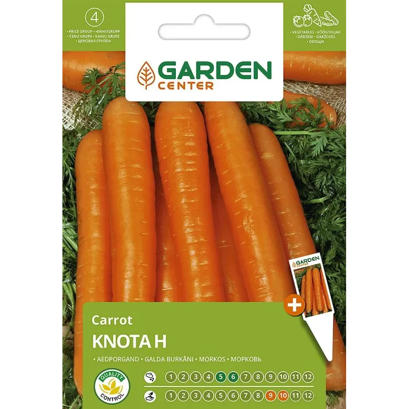 Sēklas burkāni knota