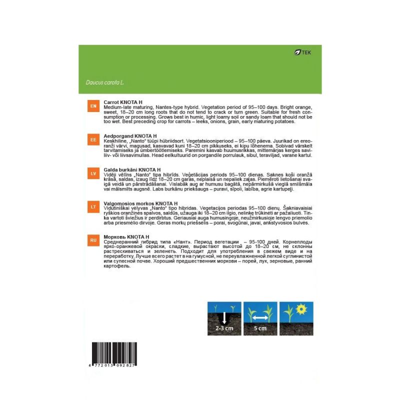 Sēklas burkāni knota