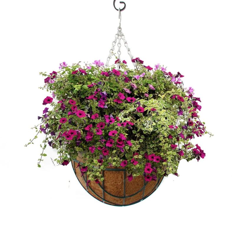 Pods puķu iekarams kokos hb2301 d25cm