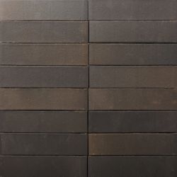 Ķieģelis apd dūmv.250x120x65 vtt65 t.pel