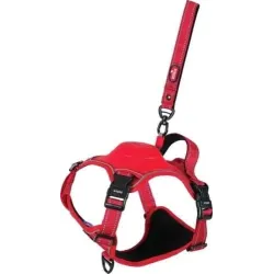 Suspenders with leashxs red