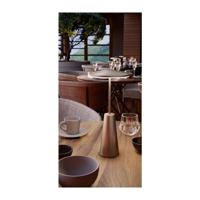 Table lamp led-cct 2.8w brown