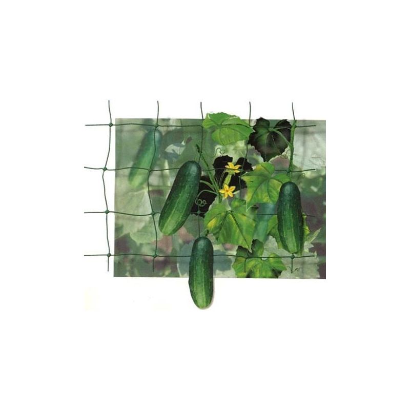 Siets atbalsta sz-120-8 150x150x1200 10m