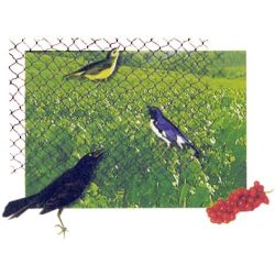 Tīkls pret putniem zaļš 121002 4x10m