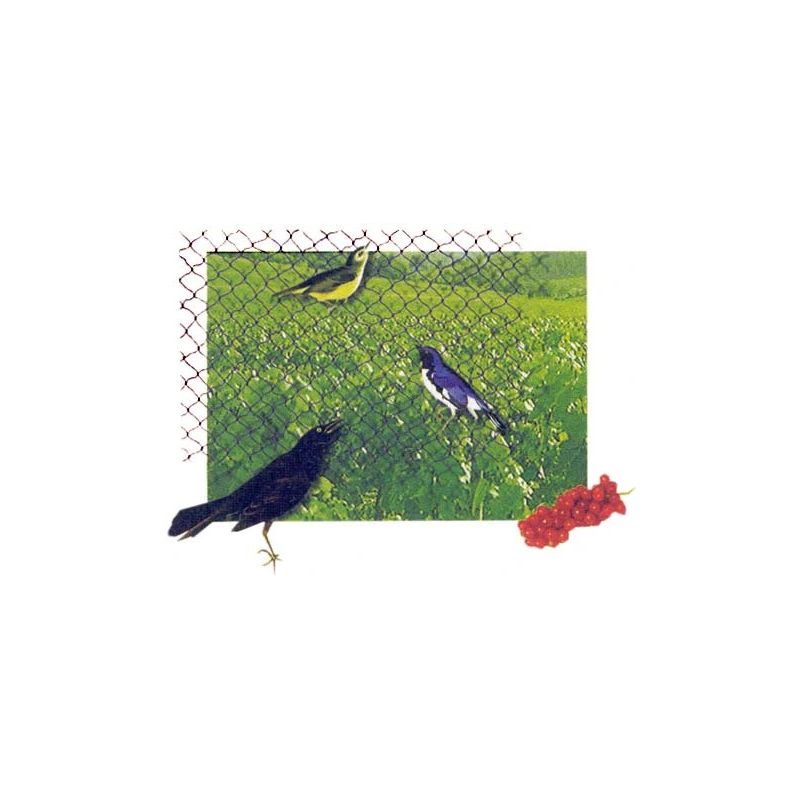 Tīkls pret putniem zaļš 121002 4x10m