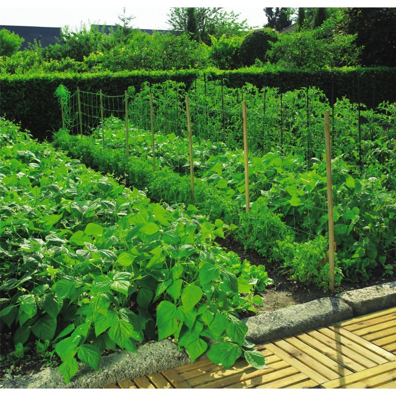 Tīkls pupu-zirņu 1,7x10m 150x170mm