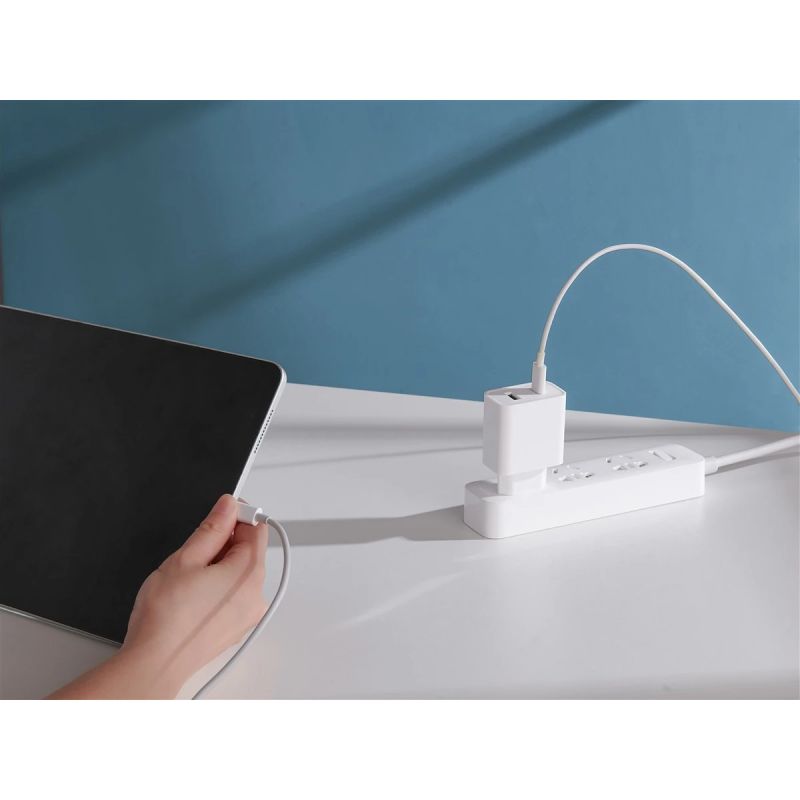 Xiaomi Mi 33W Wall Charger ,Type-A+Type-C, EU, White