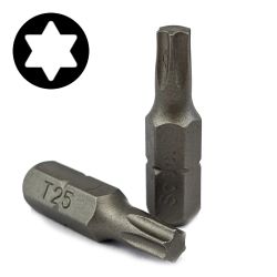 SPECIALIST+ screwdriver bit T25