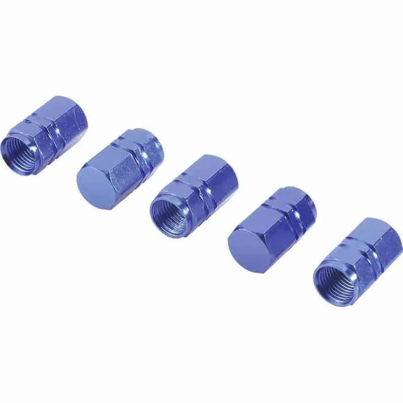 Micīte ventīļu zila 4gb