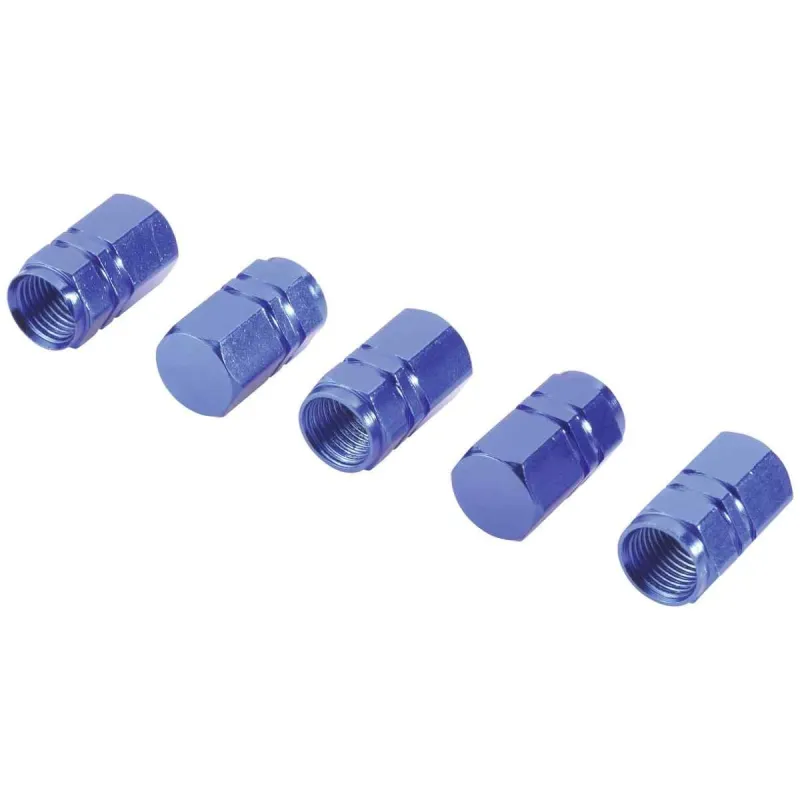 Micīte ventīļu zila 4gb