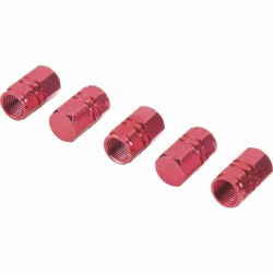 Micīte ventīļu sarkana 4gb