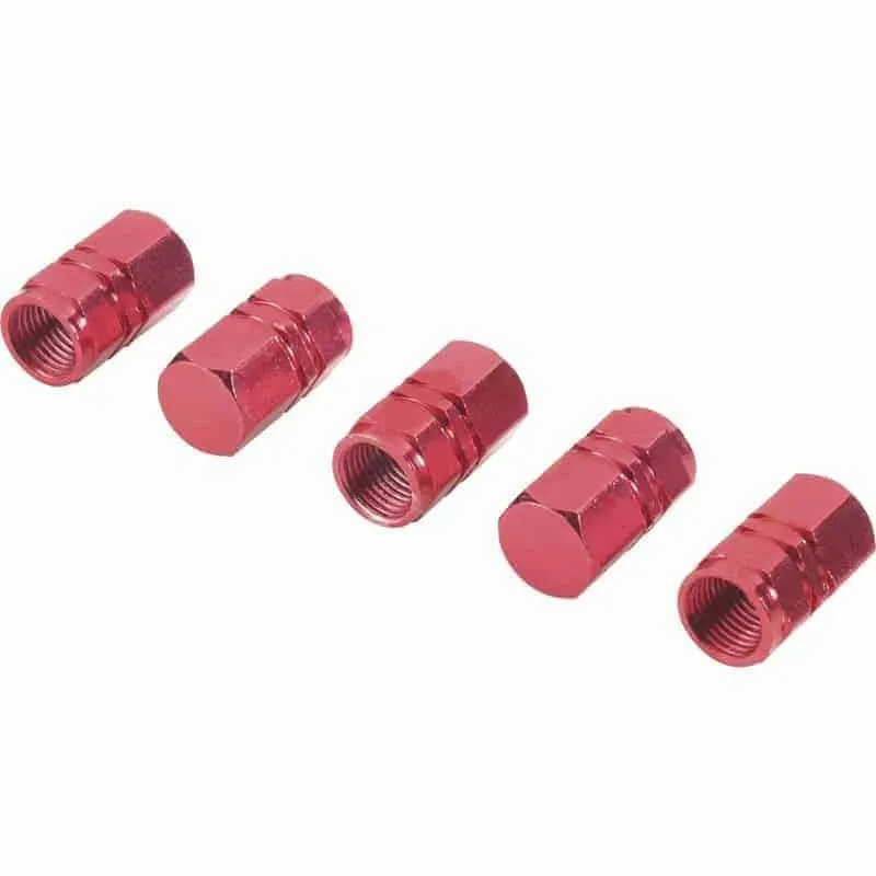 Micīte ventīļu sarkana 4gb