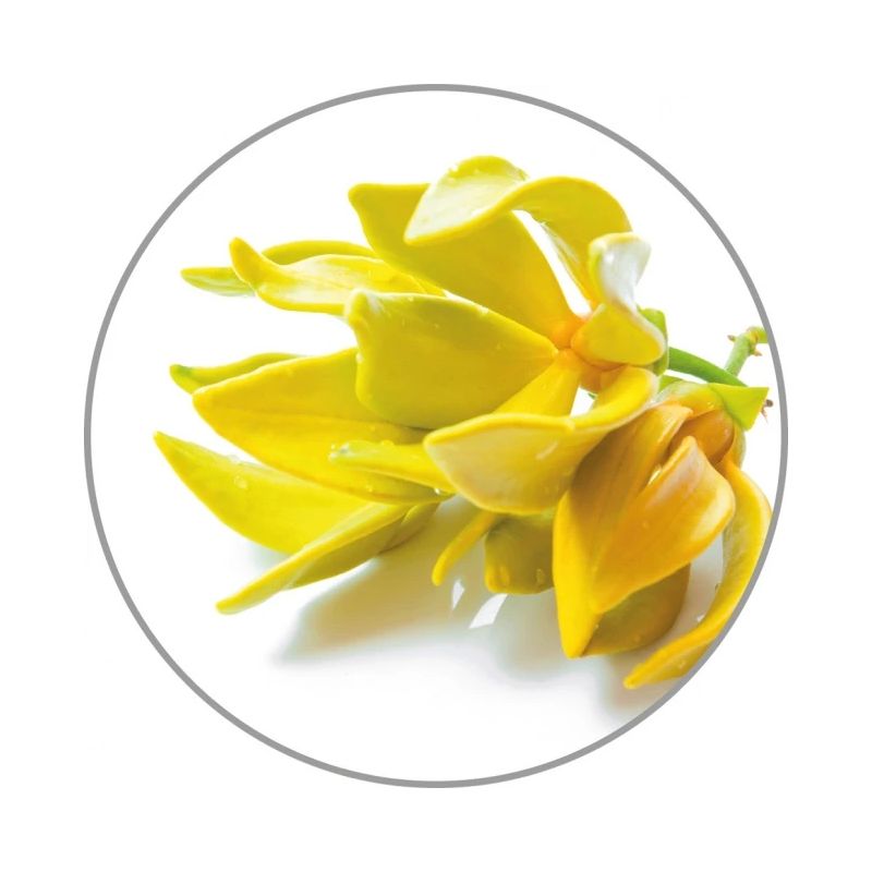 Medisana Aroma essence Ylang-Ylang